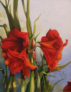 Amaryllis-Study-Watercolour