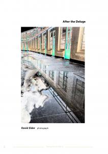 After the Deluge (David Elder)